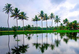 Kerala Tour, India